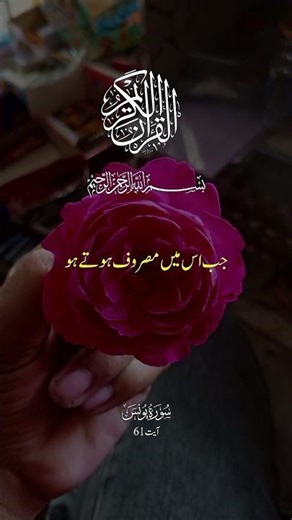 Quran | surah Al Youns