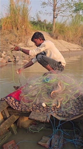 How easy is it to catch eel with a net #fishhunting2