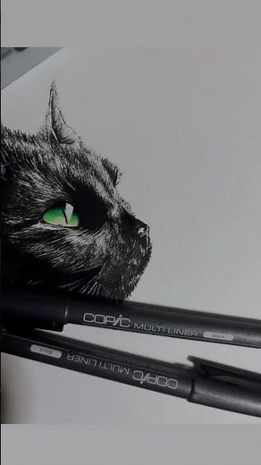 猫の描き方 #猫 #猫イラスト #イラストメイキング #shorts #ペン画 #タイムラプス