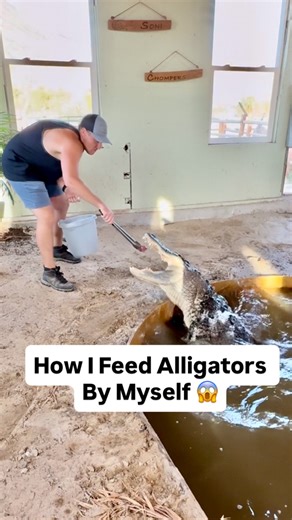How I Feed Alligators By Myself 😱🐊 | Corbin Maxey