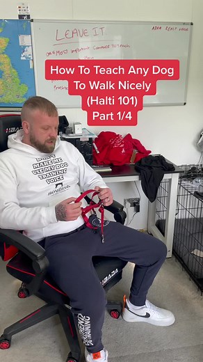 Introducing Halti Training Lead for Gentle Dog Handling