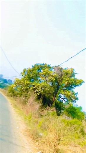 ۝❖𝕻rส∂eep★⓪⑦࿐ on Instagram