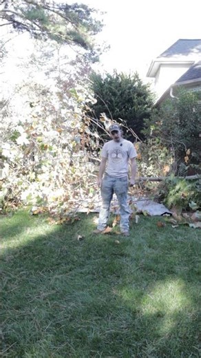 Junk Monkeys Charlotte NC Junk Removal