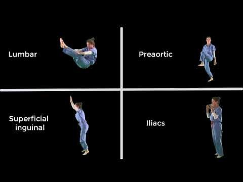 Lymphatic Drainage of the Pelvis and Perineum