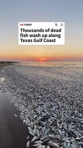 The fish kill was caused by a lack of oxygen, officials said. Fish kills like this are common in the summer as water temperatures rise, Texas Parks and Wildlife said. Many cases of low dissolved oxygen are natural occurrences. Link in bio for the full @nbcdfw story. 📹: @nbcdfw, Darrell Schoppe/Facebook