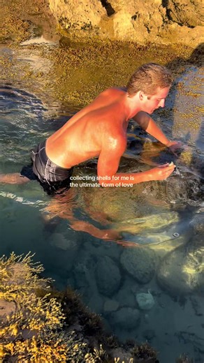 Princess Treatment: Collecting Shells for Love