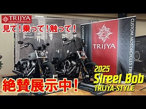 [TRIJYA Pop-Up Store No. 1] 2025 Street Bob complete custom on display! [Vertical video]