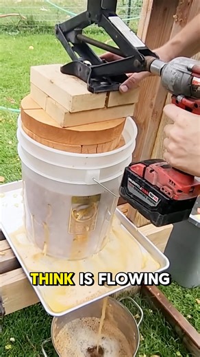 A “Traditional Grape Press in Action” refers to the old-fashioned process of extracting juice from grapes to make wine using manual or mechanical presses — a method deeply rooted in winemaking heritage. credit : @ homewinemakingadventures_ / TT @ winesearcher_ / TT #TraditionalWinemaking #GrapePress #ArtisanWine #reelsvideo #viralreelsシ | My Quiz