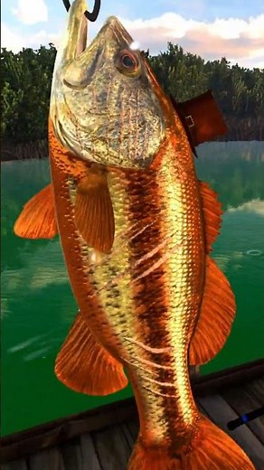 Rowdy Bass, Blue Crab Island, Fishing Planet