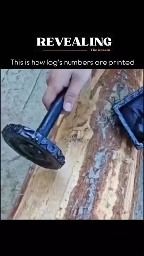 @revealingtheunseenn on Instagram: "This is how long numbers are printed - and the process is way more precise than it looks! Inside these machines, rotating number wheels or digital print heads move at incredible speed, stamping each digit perfectly in place. Whether it's serial codes, tracking IDs, product labels, or industrial markings, the system must print long sequences without a single mistake. Even the tiniest misalignment could ruin an entire batch. The machine reads each number, positi