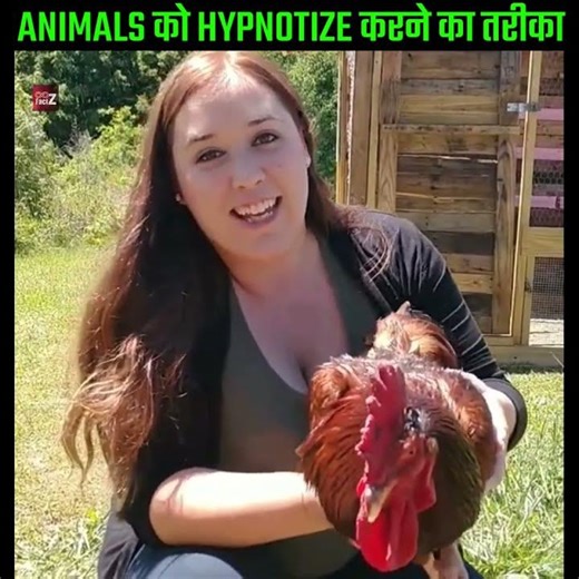 जानवरों को Hypnotize करने के तरीके|😯😯|FactZ| #shorts