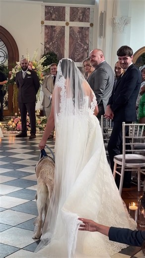 Wedding dog gives bride away: Amie and 16-year-old Billy walk down the aisle