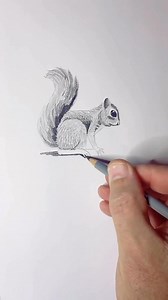 22K views · 503 reactions | Now you try! Or come to my live virtual class where I’ll show you how to draw fun and cute animals step by step for FREE! It’s this Saturday, September 13th at 10AM PST. Reserve your seat now  www.iamshaneburke.com/learn2draw  Don’t miss out! #howtodraw #drawingtutorial #beginners | Iamshaneburke | Facebook