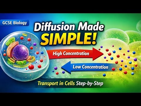 Diffusion Made SIMPLE | Transport in Cells Explained Step by Step