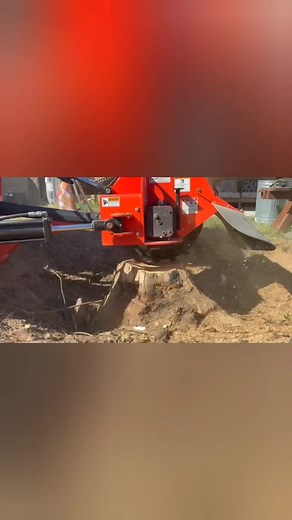 Want to get rid of that junk of a tree trunk? Tree stump grinding services are available! We also offer fall clean up. We do free estimates! 💯 Text or call (956) 735-1276 Don't forget to like, follow, and share! 💯 | Top Rack Shredding & Services