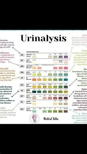 Understanding Urinalysis: Results, Types, and Interpretation