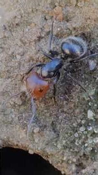 28 de febrero de 2026