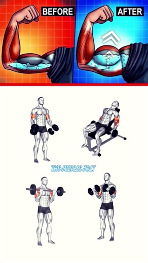 Complete Biceps Workout💪💪#fitness#gym#shorts