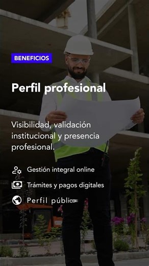 Perfil profesional 👤🆔