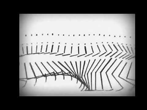 L'homme machine (1885)