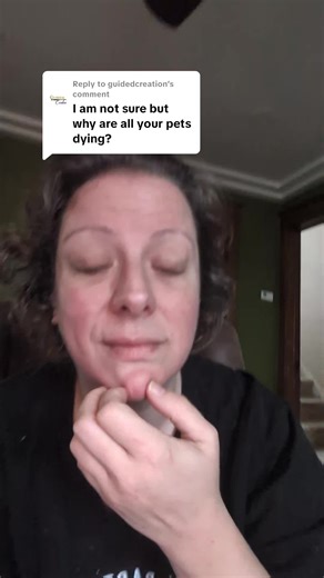 Coping with Pet Loss: Support for Elderly Pets