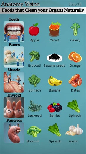 Stop Eating Junk! Try These Foods to Cleanse Your Body Naturally