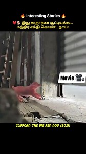 123K views · 2.7K reactions | Magic Dog  #moviereview #movietime #TrendingNow #movieclips #viralchallenge | Priya | Facebook