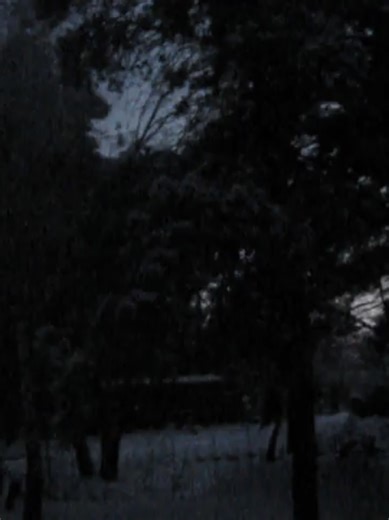 untrust us | Untrust us