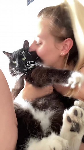 Wait till the end to see what makes my boy the happiest 🥹🥹❤️ #pet #petsoftiktok #catsoftiktok #fyp #baby #GradeUpWithGrammarly