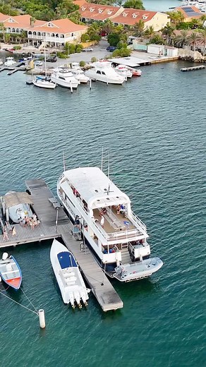 174 reactions · 23 shares | Blink and you’ll miss it! Come visit the beautiful paradise of Klein Curaçao with Mermaid Boat Trips. From crystal-clear waters to endless fun, this island adventure is calling your name. Don’t just watch - experience it for yourself and book now with Mermaid Boat Trips! | Mermaid Boat Trips Curacao | Facebook