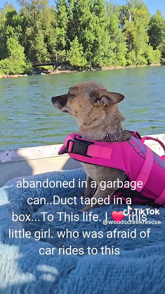 Rescued Oregon Dog Living Her Best Life with Ruby Roo