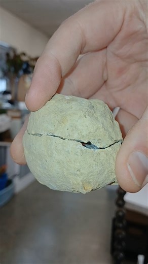 James Mooney on Instagram: "Commonly called "Keokuk" geodes after a town in Iowa that is a part of this trend, these are from what is called the Warsaw Formation. It's a Mississippian aged formation that is geologically quite interesting. I find geodes, chalcedony replaced coral fossils and much more in the formation. It's where Missouri, Illinois, and Iowa all meet. Geodes from this locality tend to be clear or milky quartz with some more uncommon exceptions."