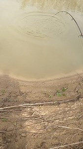 207K views · 869 reactions | THIS trick cast works every time! Can’t beat it for creek fishing! #facebookreelsviral #reelsfacebook #bnmpoles #outdoors #texas #creek #spawn #followme #whitebassrun #sandbass | KidKrappie | Facebook
