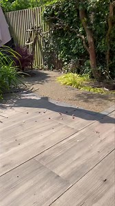 50K views · 1.1K reactions | No rest for the wicked, trying to sunbath surrounded by cats and joined by one if the Sidney Squad ❤️ | Mr Lumpy & Friends. | Facebook