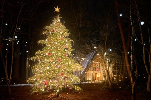 『軽井沢高原教会 星降る森のクリスマス』満天の星とツリーの特別な夜…冬の大人気イベント見どころガイド