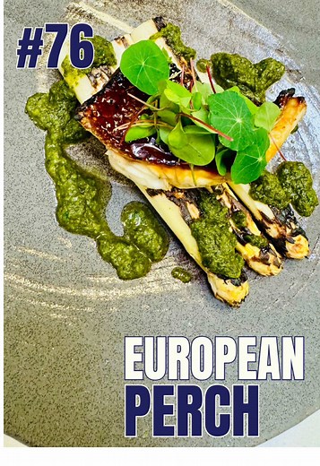 Cooking European Perch: Catch & Cook Episode 76
