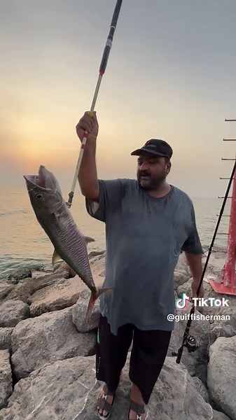 How to Cook Kingfish: Recipes and Fishing Tips