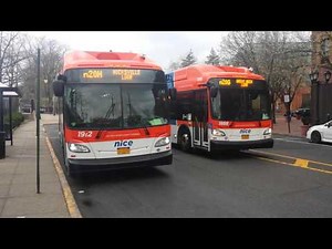 Nassau Inter-County Express: New Flyer XN40 & Orion Vll CNG n20G/H @ Great Neck LIRR