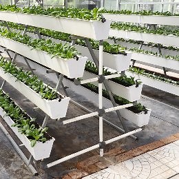 [Hot Item] Hot DIP Galvanized Steel Pipe Construction Greenhouse for Agriculture Products Garden