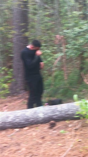 Check out how we got this tricky tree down over on my YouTube   #treeservice #treework #treeremoval | John Seaman | Facebook