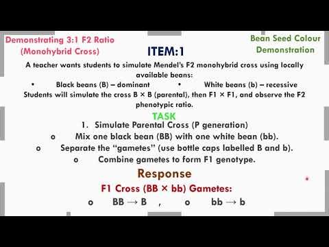 Inheritance And Evolution-11-A Scientific Demonstration to Show the 3:1 Second Filial Generation