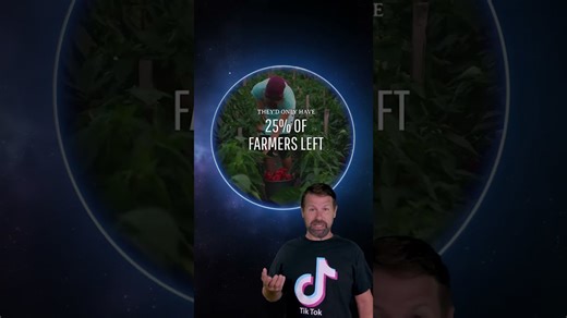 What would happen if all men disappeared overnight?