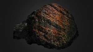 Cut pine log - 3D model by SenYul