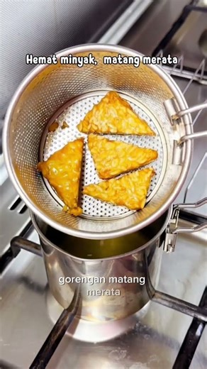 Mini Deep Fryer 2in1 Stainless