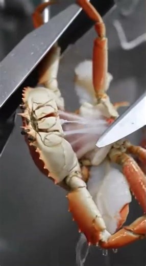 Fish & Crab Meat Production Process | How Seafood Is Produced for Humans