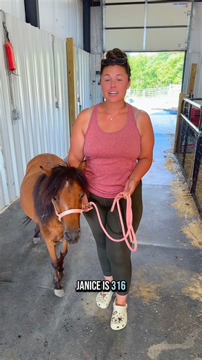 Janis is 316 days pregnant🐴💕 | Katie Van Slyke