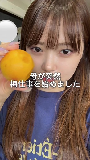 超完熟梅で作る梅ジャムと梅干しの仕込み方法