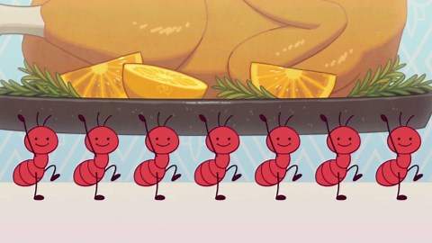 Bits and Bops - Official Launch Trailer | Wholesome Snack 2025