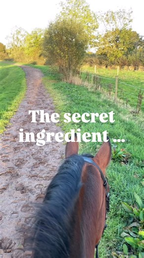 This might sound odd, coming from someone who “trains horses” , but it’s actually so much more than that… In a previous reel I spoke about Motivation, Function & Maintenance of behaviours I can’t stress how important it is to understand that More often than not - the horse does not need training. They need an environmental and/or management change Remember - behaviour is a symptom - not a problem. In this context - A symptom of a sub-optimal environment. A sub-optimal management system. As alway