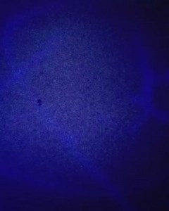 Pride and hard work embody the badge of the U.S. Marshals Service. #USMarshals #USMSBadge | United States Marshals Service